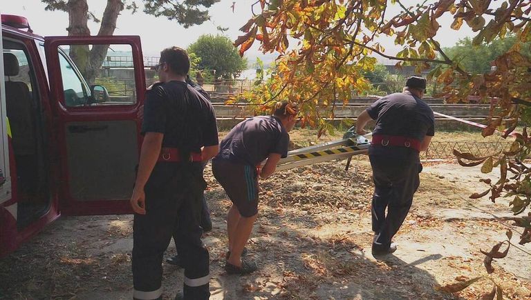 Sumedenie de nereguli descoperite după o tragedie