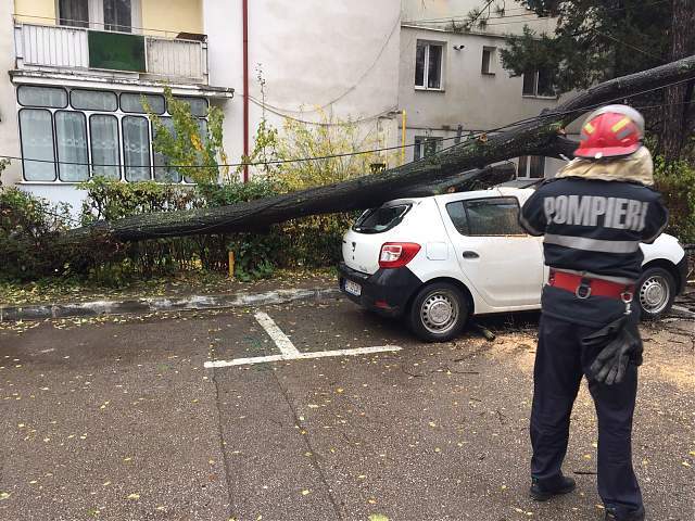 Daune de mii de lei, după ce un copac a căzut peste o maşină