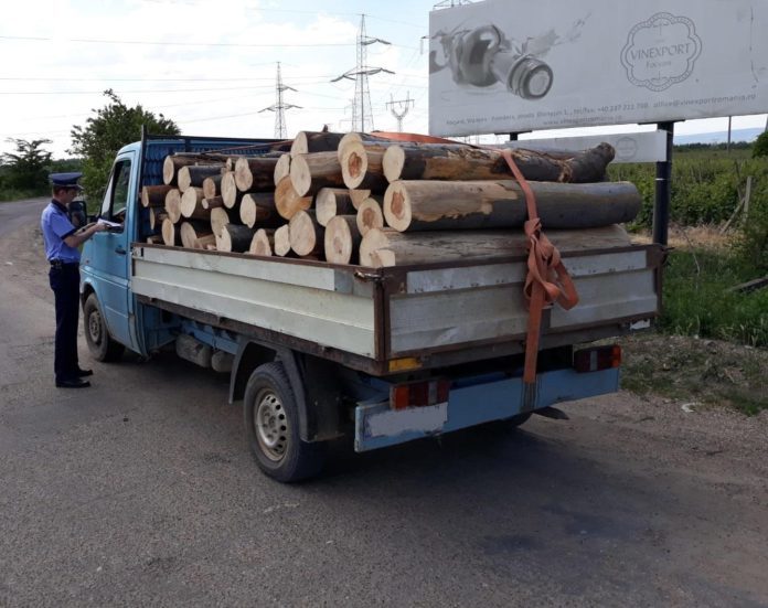 Transport ilegal de lemne depistat în trafic