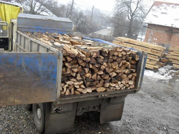 Firme amendate pentru nereguli la vânzarea lemnelor