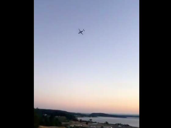 Un mecanic de avion a furat o aeronavă de pasageri şi s-a prăbuşit cu ea