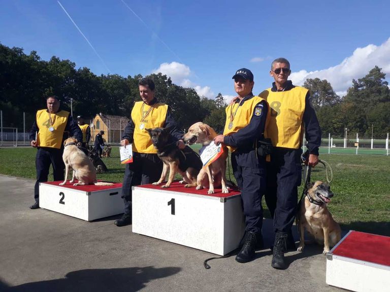 Câine jandarm remarcat la Campionatul de dresaj