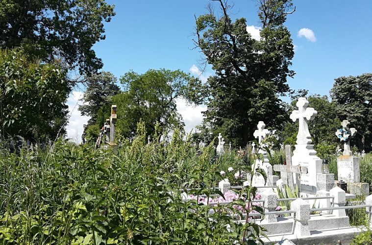Cimitirul Eternitatea va fi extins pe un teren arabil