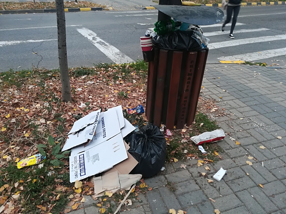 Preconception Festival Ounce Coşuri stradale pline cu deşeuri menajere - Monitorul de Botoșani