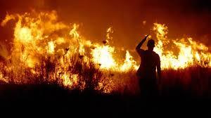 Incendii de vegetaţie în Australia. Peste 2.000 de pompieri mobilizaţi