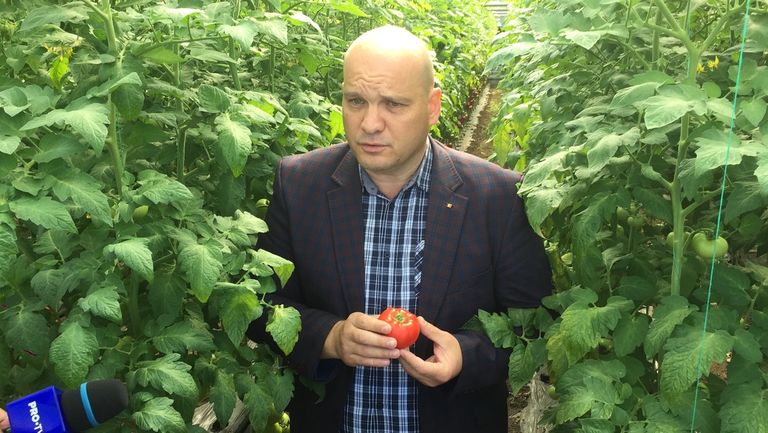 Interes uriaș pentru programele „Tomate” și „Usturoi” (video)