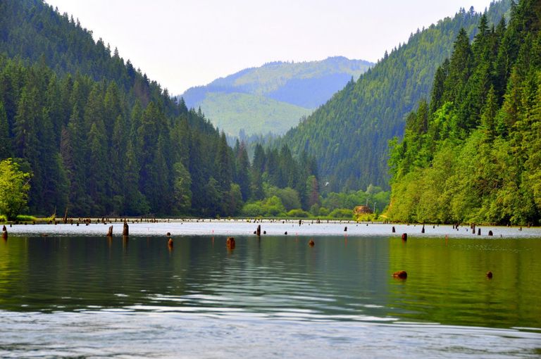 Lacul Roşu, locul din România în care s-a „scufundat” o pădure