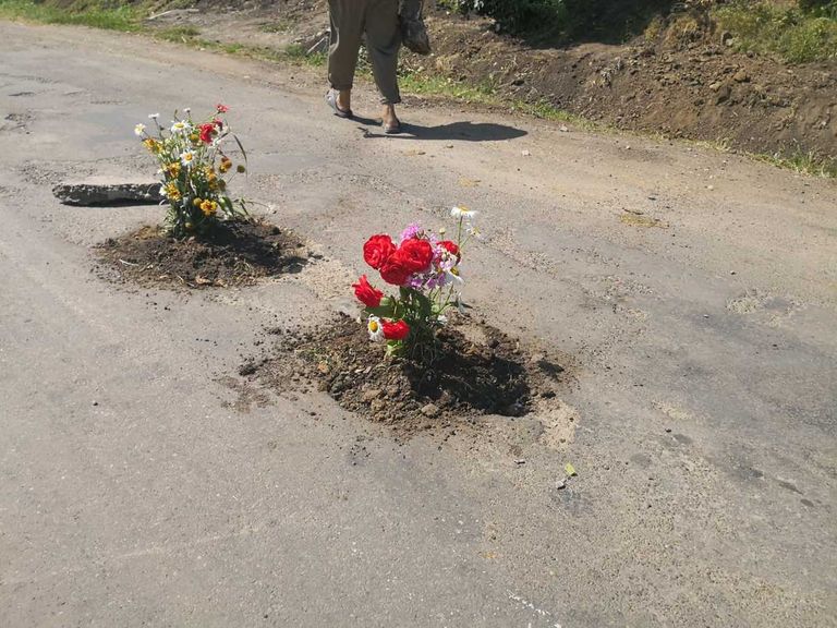 Trandafiri plantaţi în gropi la Coţuşca