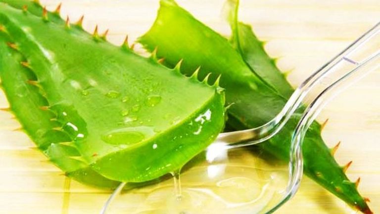 Aloe vera, un miracol pentru sănătate