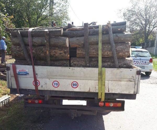 Transport ilegal de lemne confiscat după un control în trafic. Șoferul s-a ales și cu o amendă