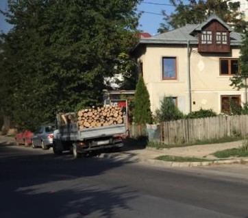 Continuă afacerile cu lemn „la negru”, iar polițiștii reușesc cu greu să combată fenomenul