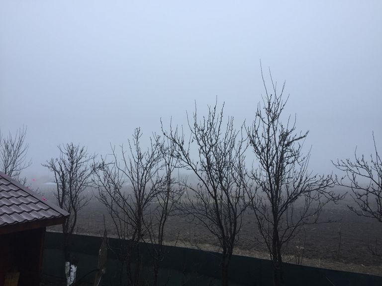 Dimineață cețoasă peste județ