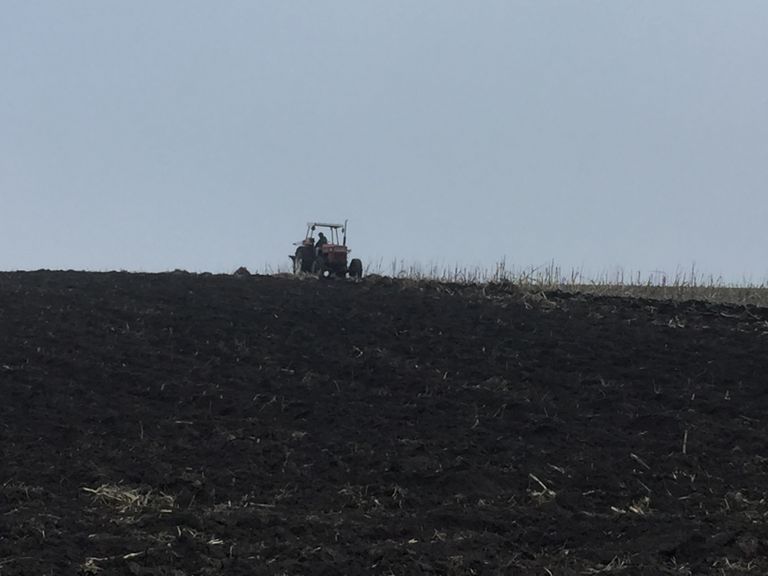 După vijelii vine primăvara