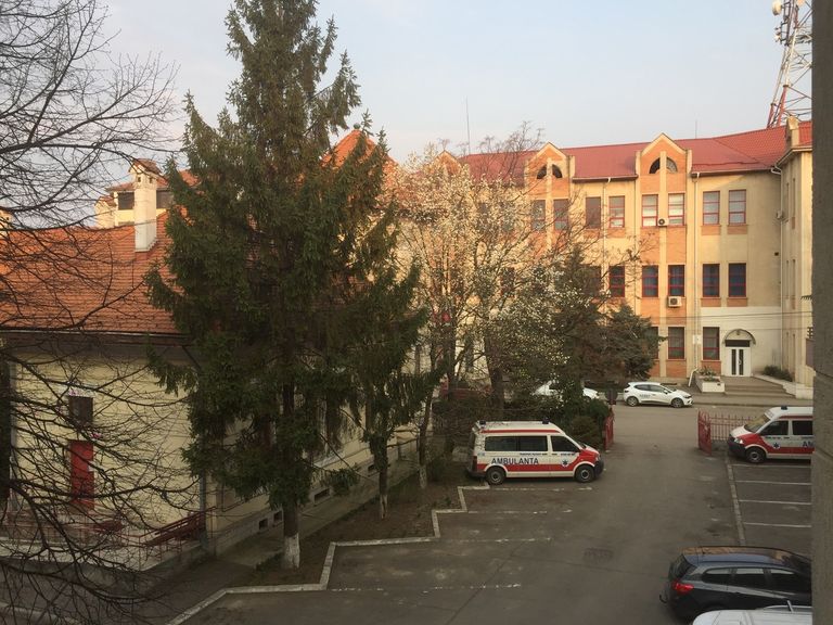 Primăvara își intră pe deplin în drepturi