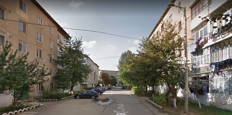Apartament transformat în padoc. Autoritățile în alertă