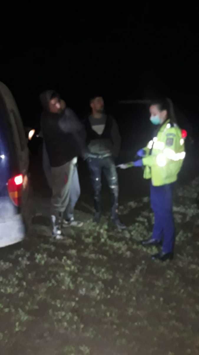 Dosar penal pentru un iepure braconat cu câini ogari (video)