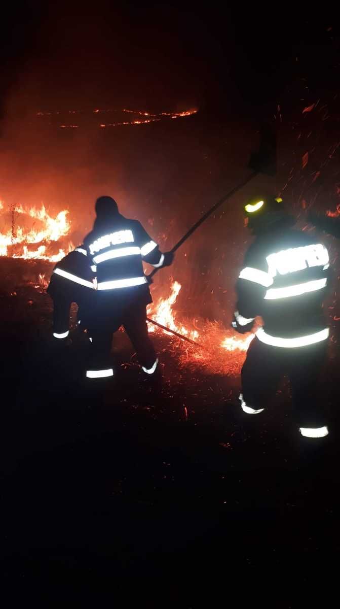 Incendiile de vegetație pârjolesc județul