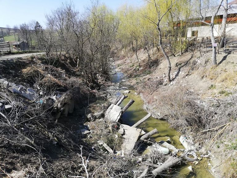 Control de mediu la albiile râurilor din județ (foto)