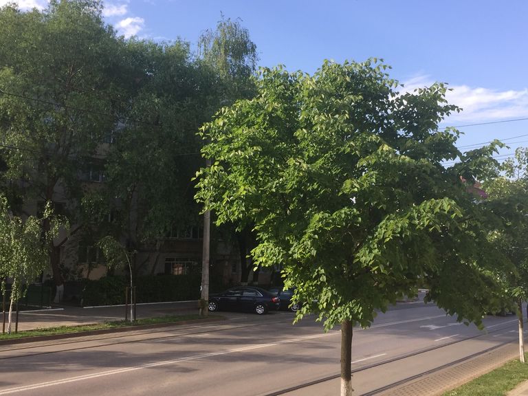 Săptămână cu vreme frumoasă
