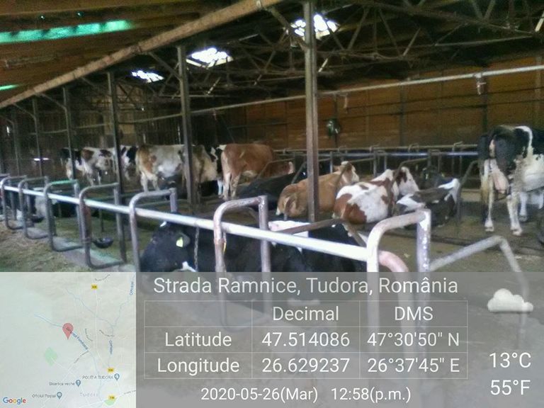 Amendă usturătoare dată unui fermier din Tudora de Garda de Mediu