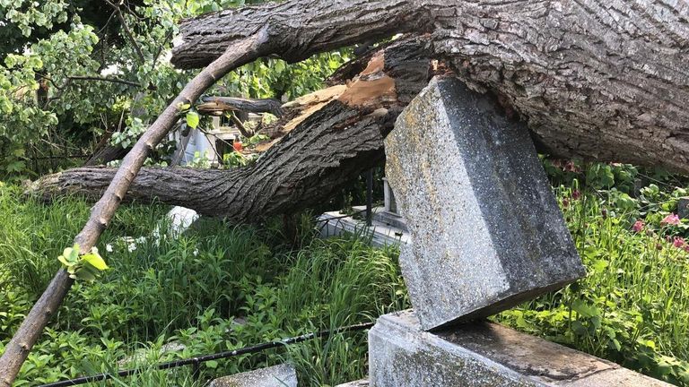 Copac prăbuşit peste morminte, în Cimitirul Eternitatea (video)