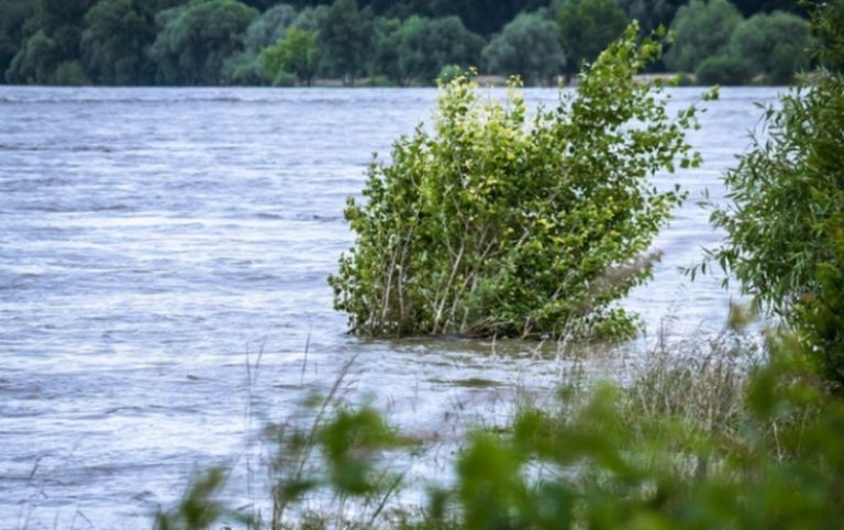 Viitura de pe Prut a inundat deja sute de hectare de terenuri agricole și pășuni