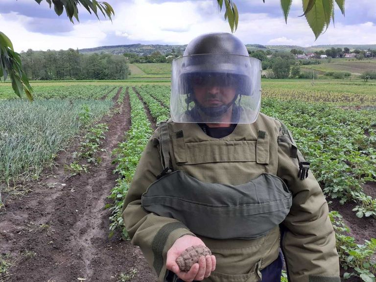 Grenadă găsită la Vorona, în timp ce se pregătea construcția unei case