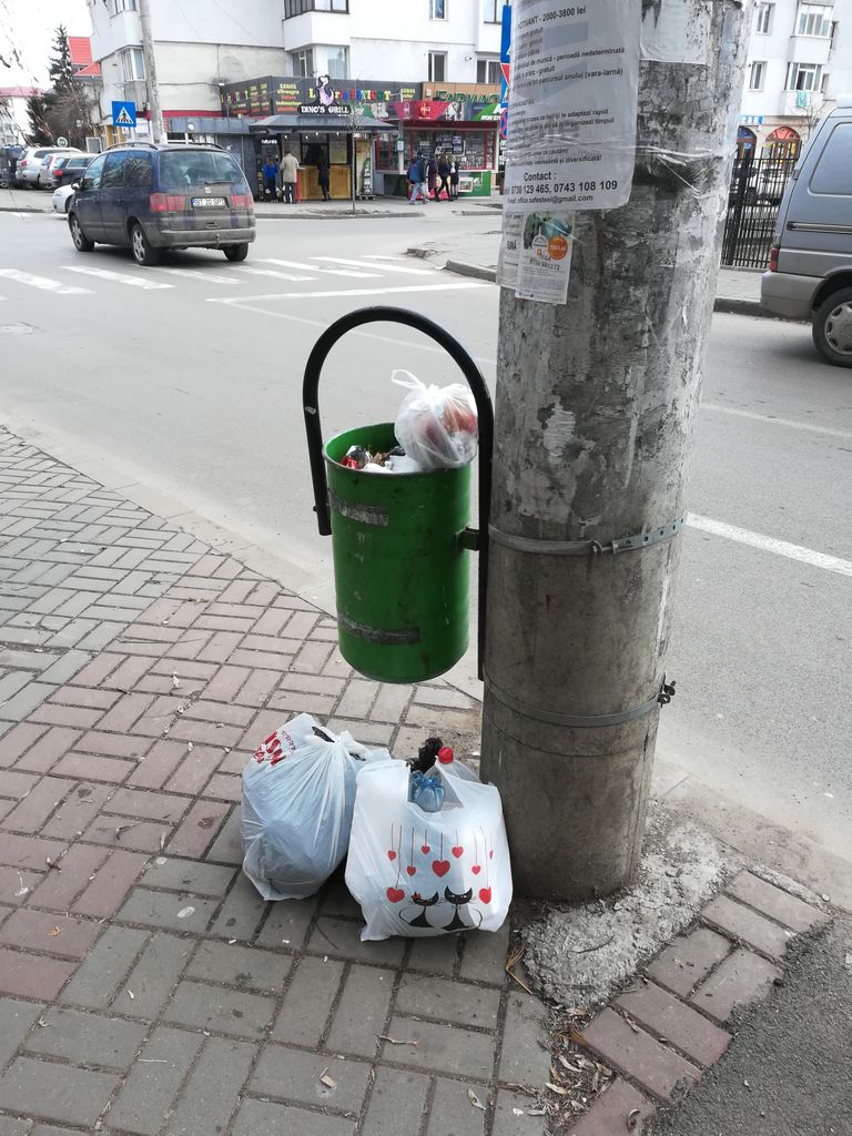 Măsuri cerute în CL pentru botoşănenii care pun deşeuri menajere în coşurile stradale