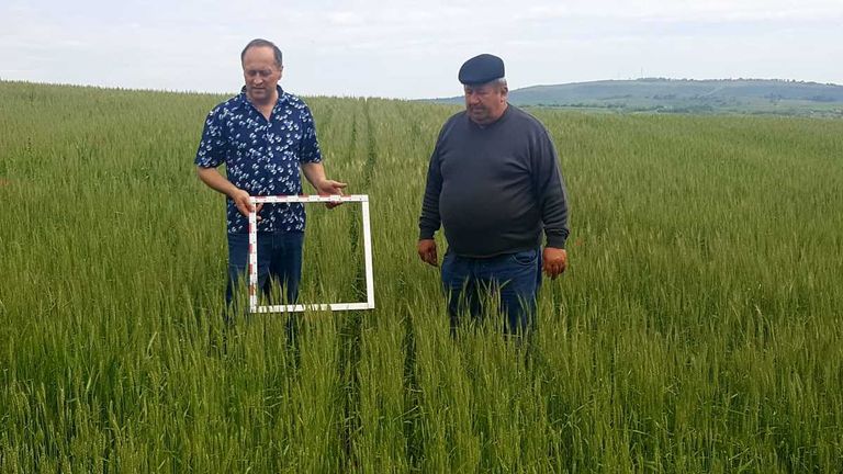 Evaluarea secetei, terminată pe ploi torențiale