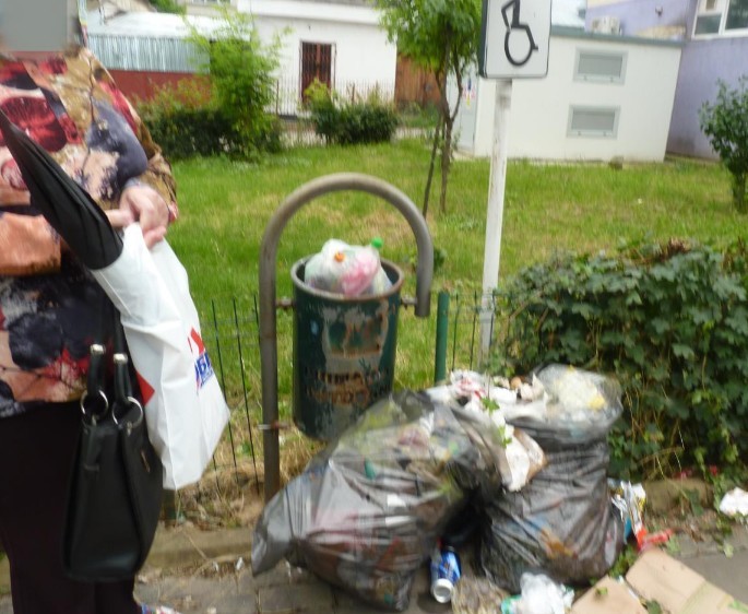 Botoşăneni amendaţi pentru că au pus deşeuri menajere în coşurile stradale