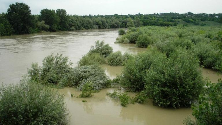 Risc de inundații pe Prut și alte două râuri