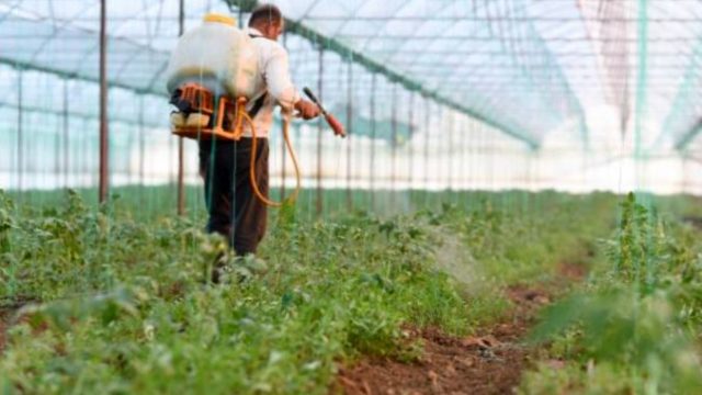 Românii, printre cei mai mari cumpărători de pesticide din UE