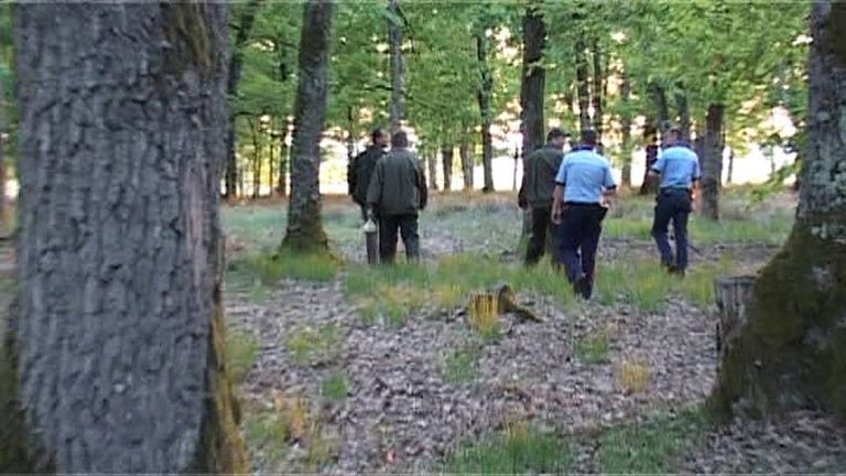 Bătrâni rătăciți în pădure. Zeci de polițiști și voluntari i-au căutat ore în șir