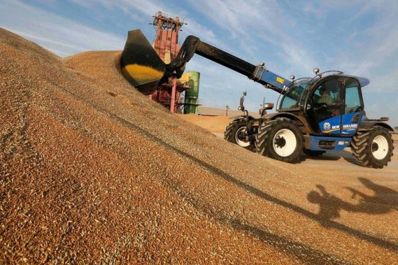 În cel mai prost an agricol, exporturile de cereale explodează