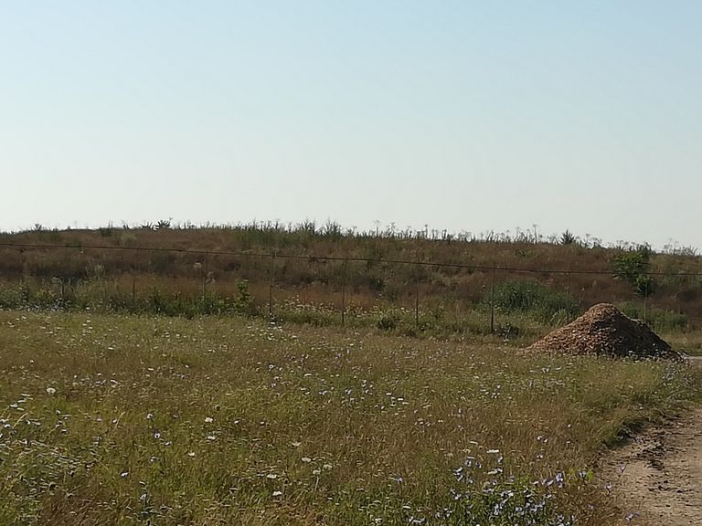 Municipalitatea va rezolva problema deşeurilor din zona Rediu