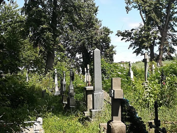 Undă verde în CL pentru extinderea Cimitirului Eternitatea