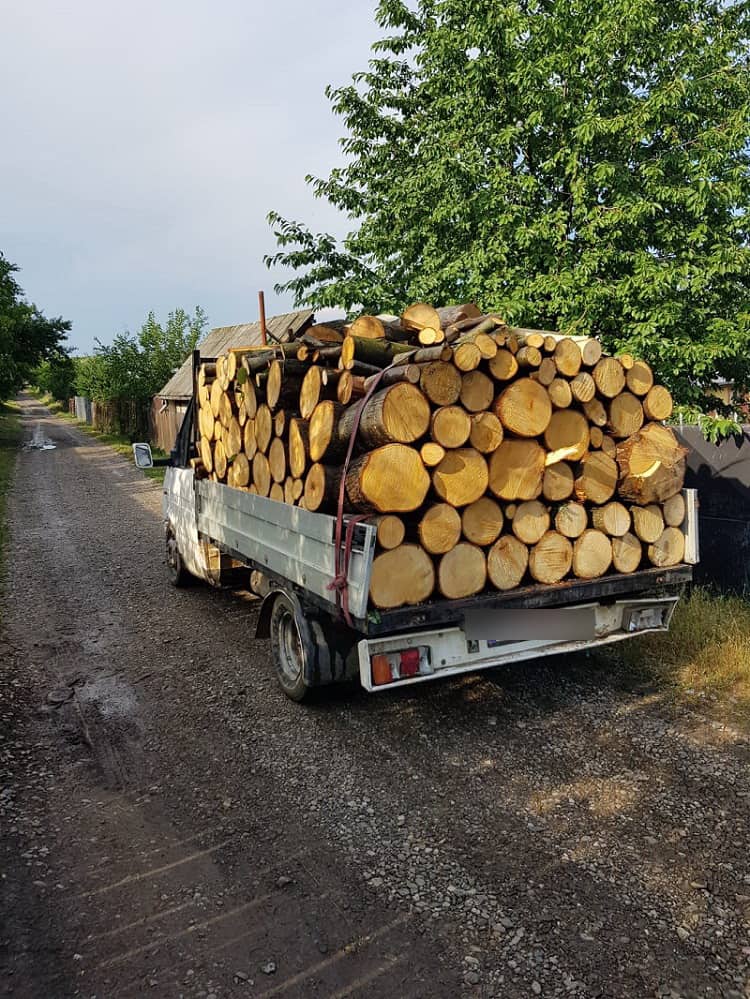 Transportator de lemne amendat și lăsat fără marfă