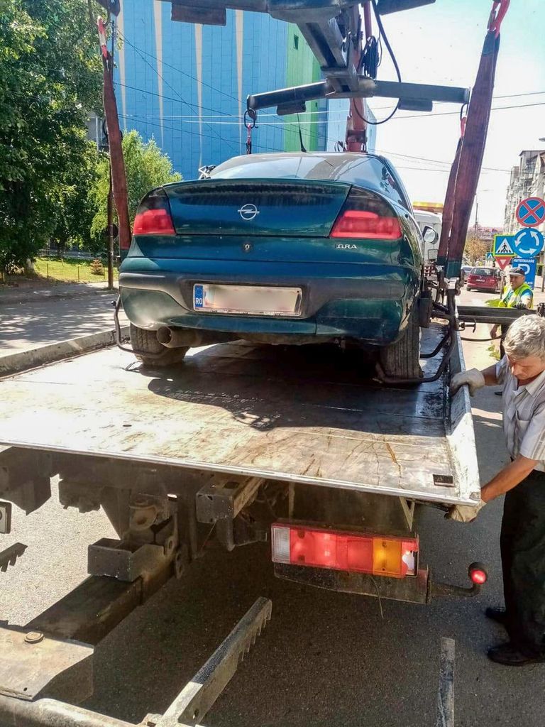 Zeci de rable vor fi ridicate de pe domeniul public