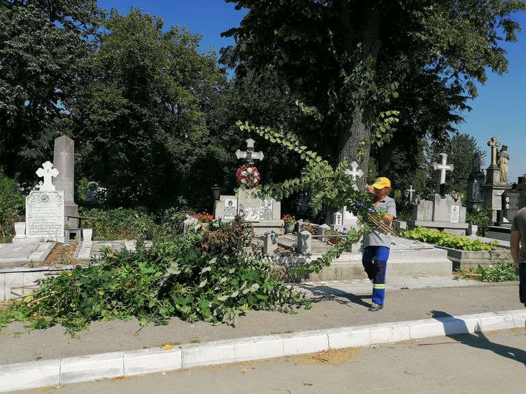 Muncă de Sisif cu vegetaţia din cimitire (video)