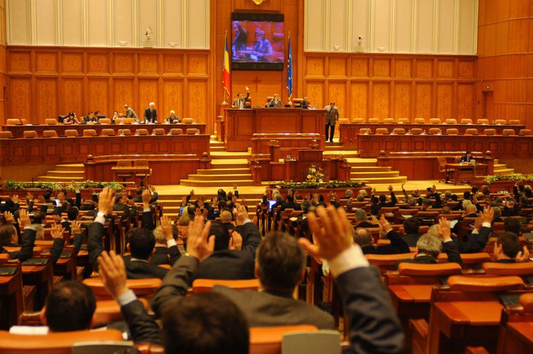 Parlamentarii au eliminat capitalul social minim pentru SRL-uri