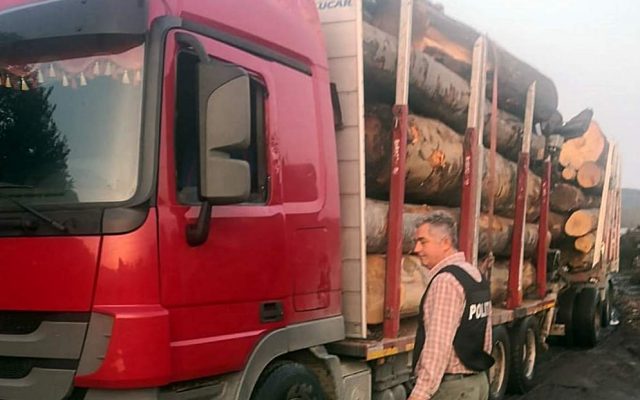 Primarul PSD nou ales al unei comune din Argeș, prins la volanul unui camion cu lemn furat