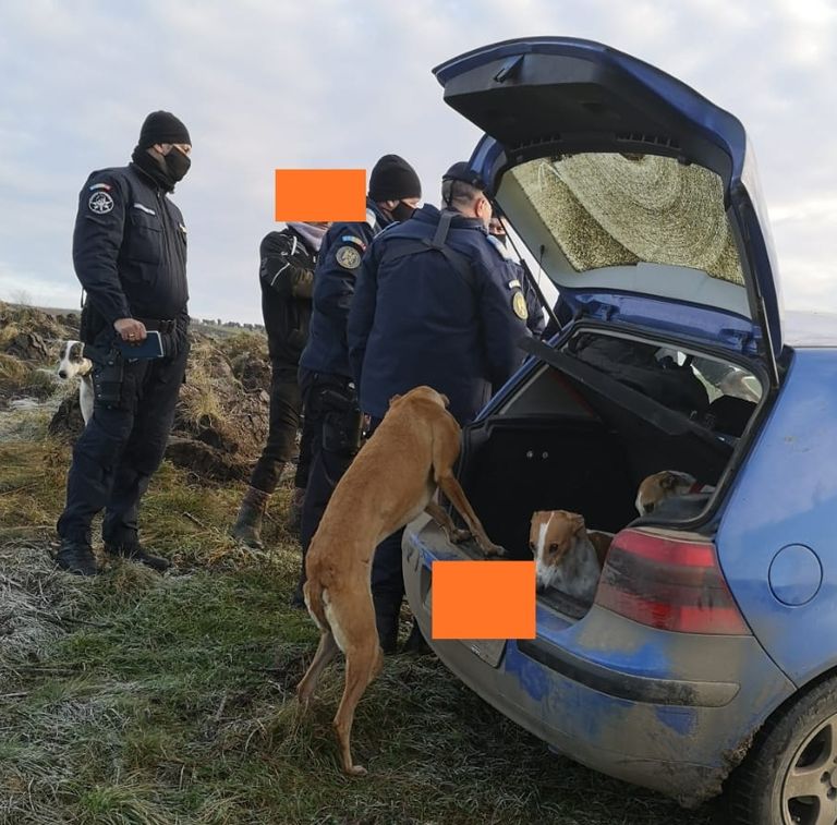 Braconieri amendați de jandarmi