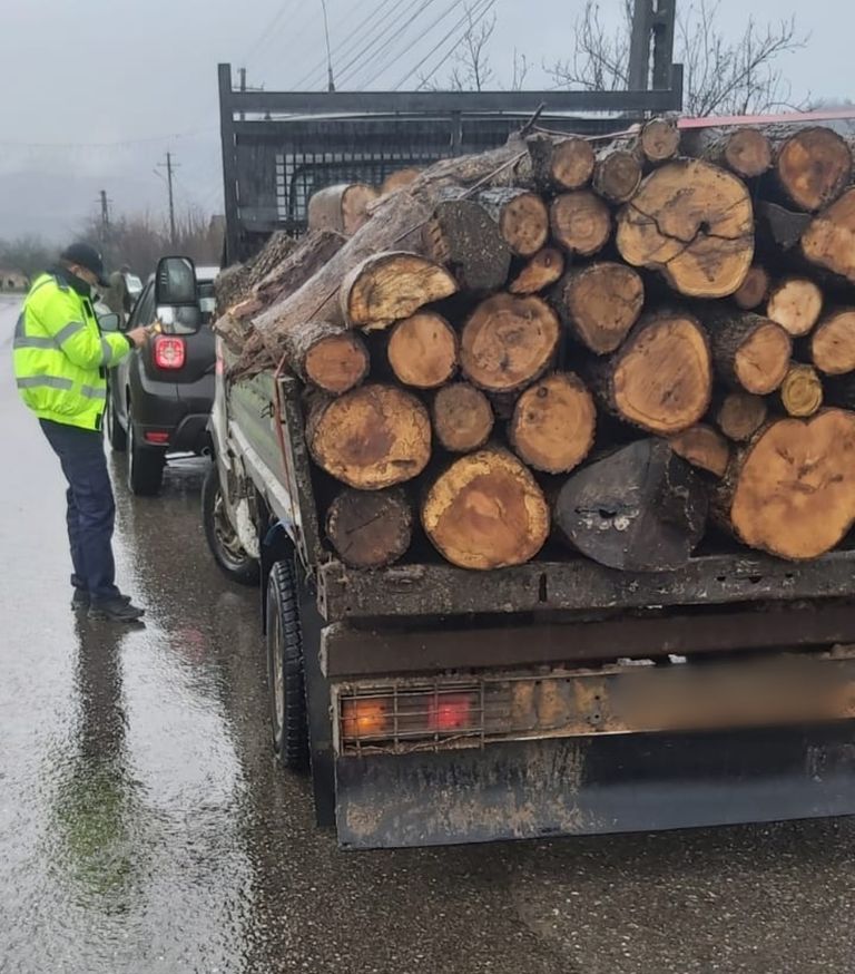 Controale de amploare pentru stoparea infracțiunilor silvice