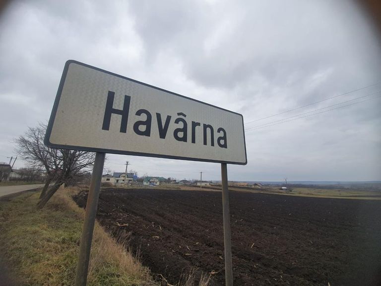 Vești bune! Havârna iese din carantină! (video)