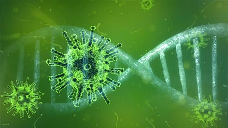 Mutație a virusului în județul Botoșani (video)