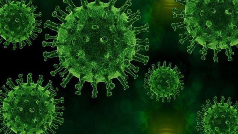 Coronavirus:  2.644 de cazuri noi, la doar 24.745 de teste RT-PCR și 6.900 de teste rapide antigenice