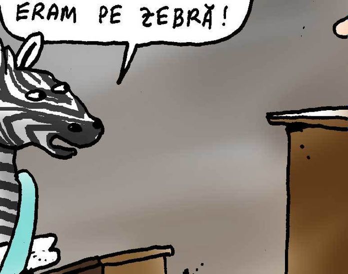 Zebroiul2