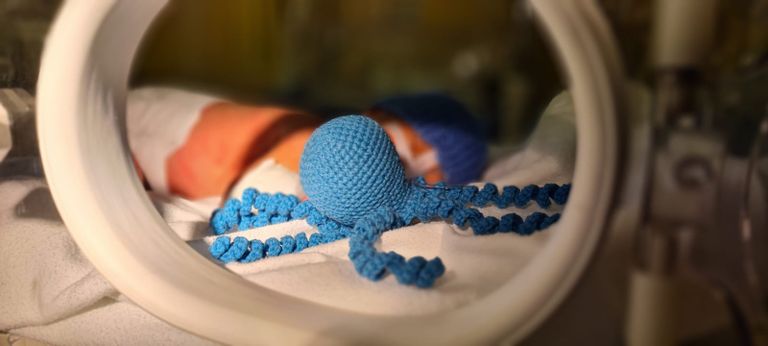 Nou-născuți “îngrijiți” de caracatițe la Maternitatea Botoșani