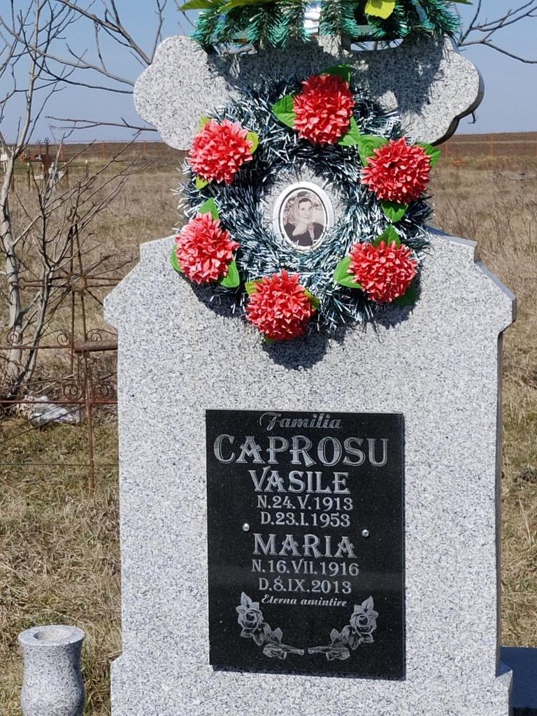Un ultim omagiu adus academicianului Ioan Caproşu
