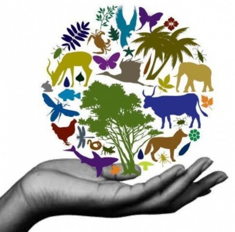 Ziua Internațională a Diversității Biologice marcată de Agenția de Protecție a Mediului